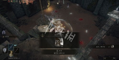 艾尔登法环罗蕾塔斩击战灰攻略:高效获取新技巧揭秘 艾尔登法环罗蕾塔斩击战灰攻略:高效获取新技巧揭秘