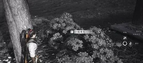 《燕云十六声》胫甲攻略:轻松解锁独特获取途径 《燕云十六声》胫甲攻略:轻松解锁独特获取途径