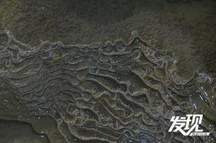 《鸣潮》探秘：云母釉岩高效采集攻略揭晓