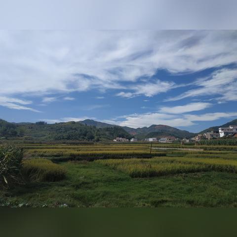 校园惊悚升级,去年噩梦IGN7.3分,沉浸式体验再创新高 校园惊悚升级,去年噩梦IGN7.3分,沉浸式体验再创新高