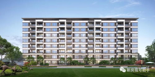 暴雪中国送金砖!揭秘:是真的金子吗? 暴雪中国送金砖!揭秘:是真的金子吗?