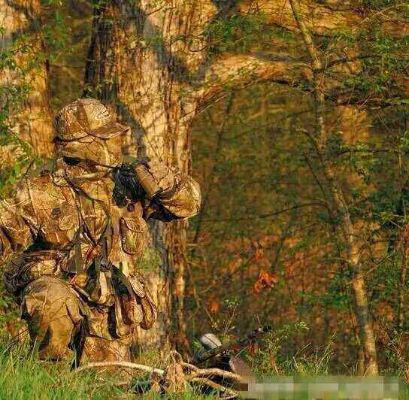 皇家军队伪装术揭秘:古老之圈夺宝奇招大公开 皇家军队伪装术揭秘:古老之圈夺宝奇招大公开