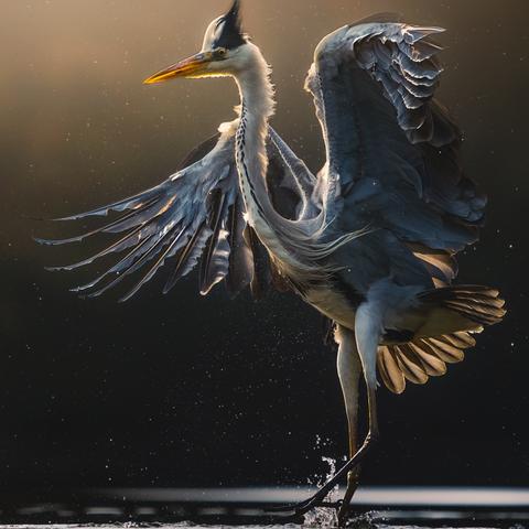 索尼跨平台战略揭晓，微软动视暴雪正面交锋新格局