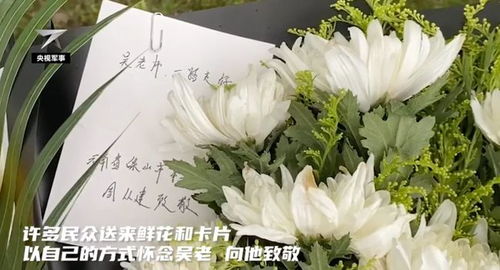 《行尸走肉：最终季》停售揭秘，经典续作价值再升级