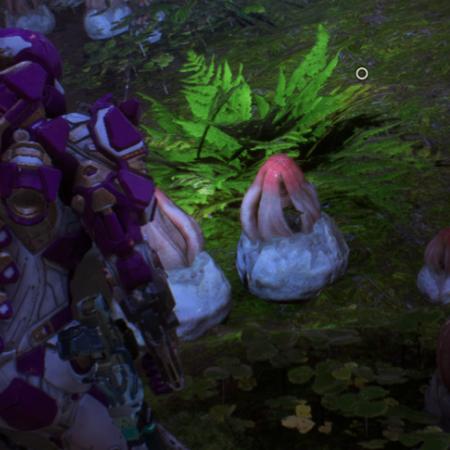 《圣歌》平衡攻略：揭秘敌人强度曲线与角色实力匹配秘籍