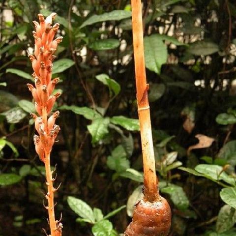 《异环》首测攻略:深度解析实况视频,揭秘全新游戏玩法 《异环》首测攻略:深度解析实况视频,揭秘全新游戏玩法