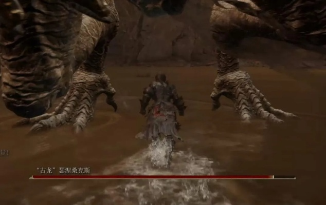 艾尔登法环古龙瑟涅桑克斯攻略:高效打法解析新技巧 艾尔登法环古龙瑟涅桑克斯攻略:高效打法解析新技巧