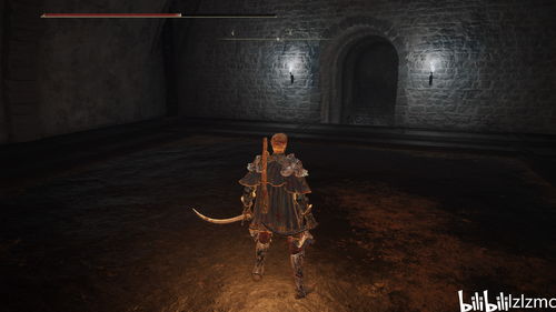 《艾尔登法环》黑骑士伽鲁攻略：DLC最强BOSS挑战技巧揭秘