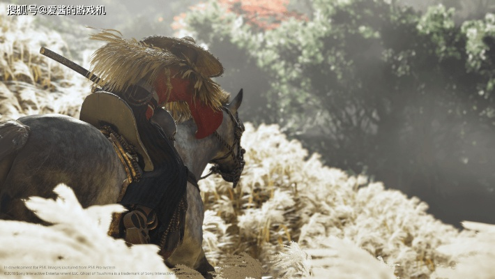 《对马岛之鬼》极限挑战版：虐心难度，受虐狂者的极致盛宴