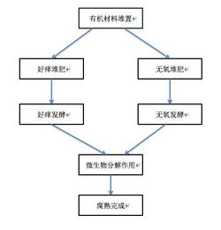 作物生产流程解析：揭秘《模拟农场25》高效路线图