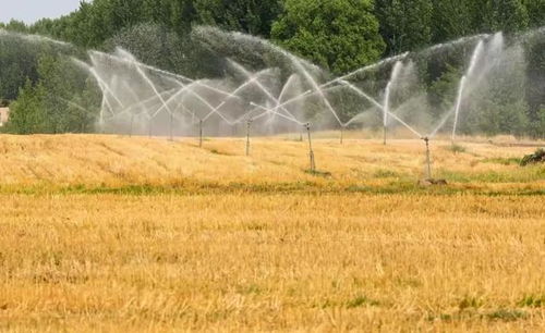 农场传奇瓦尔特老爷爷:智慧农业新篇章 农场传奇瓦尔特老爷爷:智慧农业新篇章