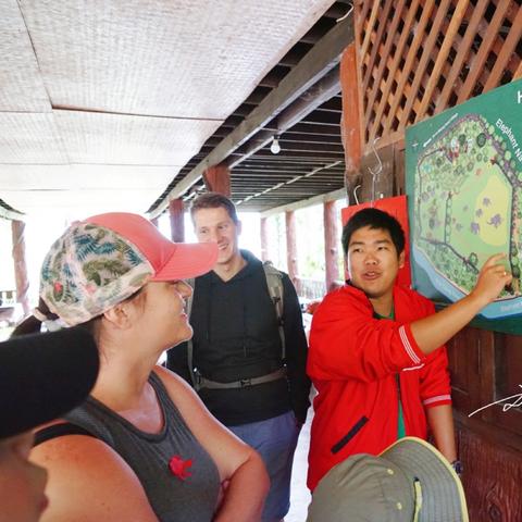 游客骑卡组攻略:深度解析炉石传说新战术精髓 游客骑卡组攻略:深度解析炉石传说新战术精髓