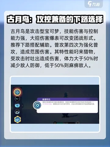 古月鸟实战攻略：技能搭配与专属装备解析