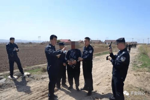 扣人心弦多线剧情，揭秘《天命奇御》首波宣传片新价值