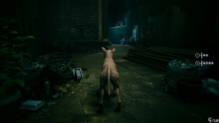 《野狗子》探秘:深度解析背景故事与全新玩法攻略 《野狗子》探秘:深度解析背景故事与全新玩法攻略