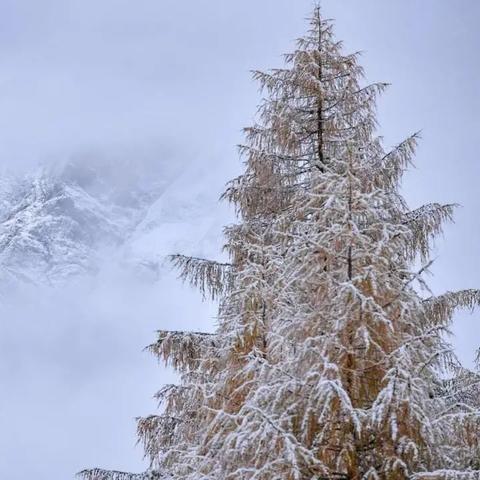 全域事件再延长!《全境封锁》黑暗降临活动价值升级 全域事件再延长!《全境封锁》黑暗降临活动价值升级