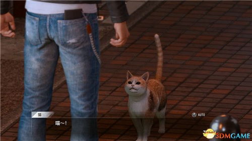 《野狗子》奇才贝蒂攻略秘籍,高效收集技巧大公开 《野狗子》奇才贝蒂攻略秘籍,高效收集技巧大公开