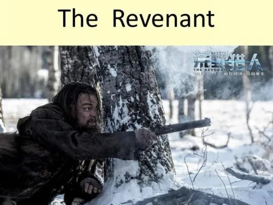 荒野猎人攻略秘籍，快速解锁游戏指南新境界