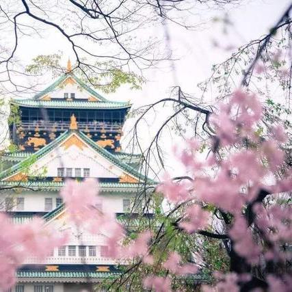 乱斗新宠:萨卡组攻略,揭秘高效制胜之道 乱斗新宠:萨卡组攻略,揭秘高效制胜之道