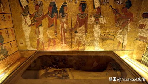 古埃及秘境，法老诅咒再起，探寻神秘新篇章