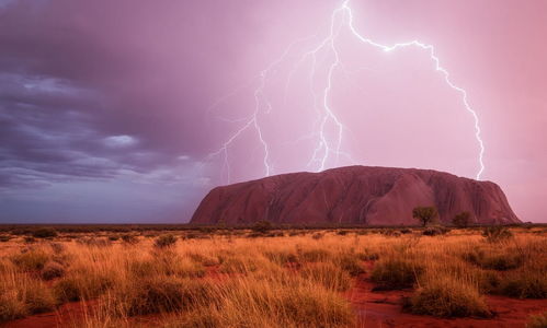 绝美风光陶醉眼，大逃杀美景新体验