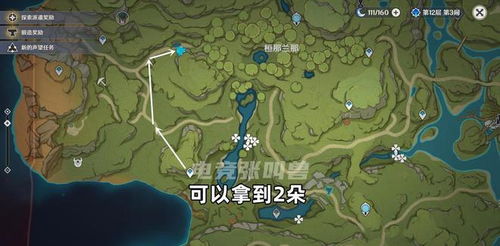 《原神》纳西妲突破攻略：全新材料清单与高效采集路线解析