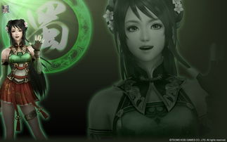 绝世美貌俏皮佳人，关银屏真三国无双新风采