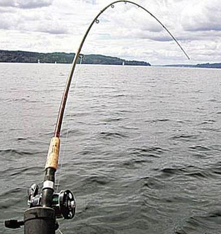 《多洛可小镇全鱼竿攻略:钓鱼达人必看高效地点》 《多洛可小镇全鱼竿攻略:钓鱼达人必看高效地点》