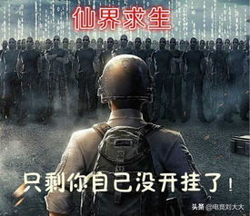 《绝地求生》中国禁令疑云：深度解析游戏安全新维度