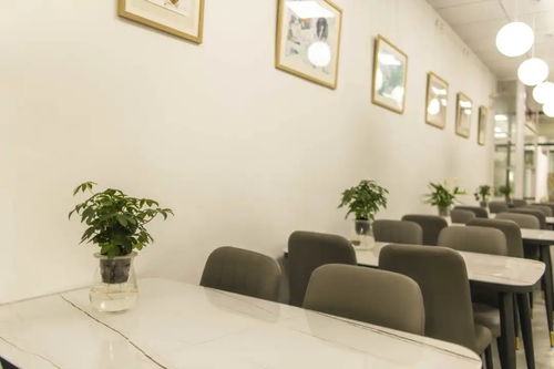 科隆展独家揭秘：《三角洲行动》全新战术体验深度解析