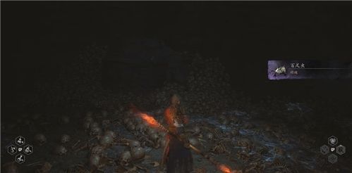 百足虫精魄藏匿揭秘,探寻《黑神话悟空》新奇宝藏 百足虫精魄藏匿揭秘,探寻《黑神话悟空》新奇宝藏