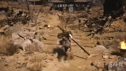 《黑神话悟空》全泡酒物种子速收攻略,高效收集新技巧揭秘 《黑神话悟空》全泡酒物种子速收攻略,高效收集新技巧揭秘