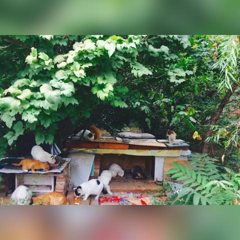 《极限竞速7》评测9.4分,飞驰少年再创速度传奇 《极限竞速7》评测9.4分,飞驰少年再创速度传奇