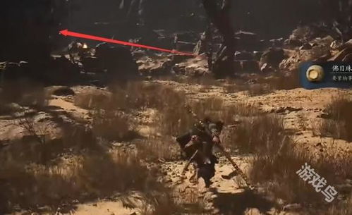 《黑神话悟空》佛目珠高效收集法,解锁神秘新价值 《黑神话悟空》佛目珠高效收集法,解锁神秘新价值