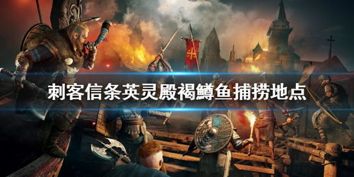 《起源刺客信条》XB1X版揭秘，探索未知价值新篇章