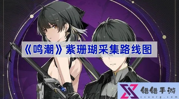 《鸣潮》紫珊瑚获取攻略：相里要突破必备材料