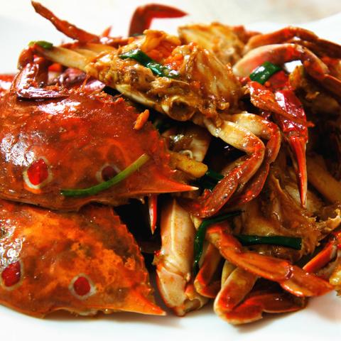 《绝区零》1.1版狂欢日历揭秘:活动盛宴抢先览 《绝区零》1.1版狂欢日历揭秘:活动盛宴抢先览