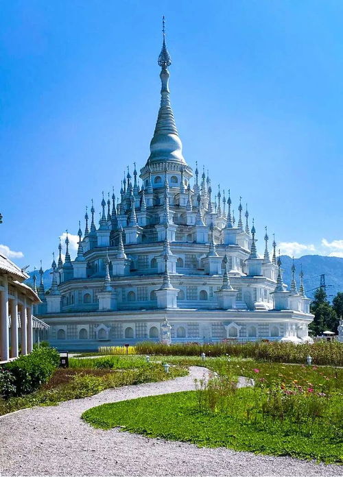 8月14日溜溜橡木藏匿地揭秘，萤石宝藏新发现！