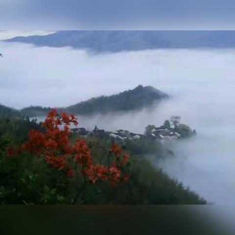 《仙境传说新启航》角色培养攻略:快速提升技巧揭秘 《仙境传说新启航》角色培养攻略:快速提升技巧揭秘