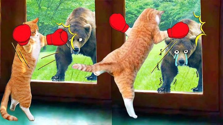 墙来势汹汹，我与它展开搞笑对决！