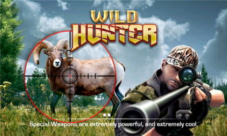 荒野重弩新秘技揭秘：猎杀荒野的终极炮术展示