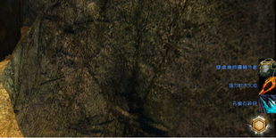 8月11日溜溜橡木藏匿地揭秘，萤石宝藏新线索揭晓