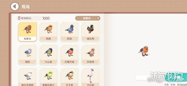 心动小镇锡嘴雀藏匿秘境,探秘新发现! 心动小镇锡嘴雀藏匿秘境,探秘新发现!