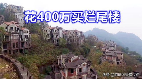 《心动小镇》苍头燕雀藏身之谜,探寻神秘新价值 《心动小镇》苍头燕雀藏身之谜,探寻神秘新价值