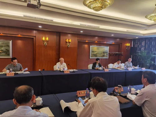 四屏共赴公路救赎，全新四人竞技体验