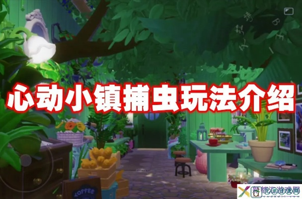 四星瓢虫捕捉攻略：心动小镇独家捕捉秘籍揭晓