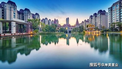 《心动小镇网翅蝗捕捉攻略：隐藏位置大揭秘》