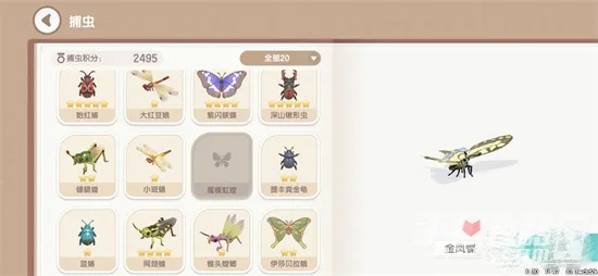 赤翅甲捕捉攻略：心动小镇独家捕捉技巧揭晓