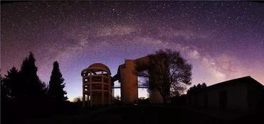 《心动小镇》捕捉蔷薇蜻蜓秘境攻略揭晓