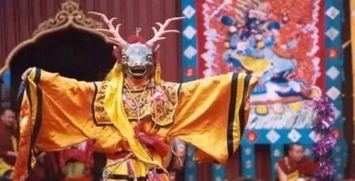 上古奇缘：揭秘老滚改背后的传奇故事